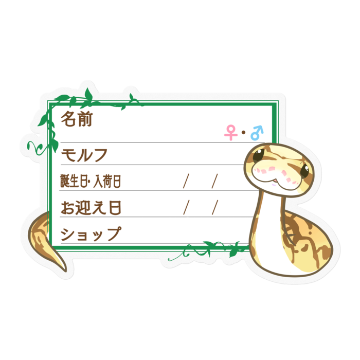 【🐍お名前ステッカー】ボールパイソン(クイーンビーミニ) ‐ ツタ