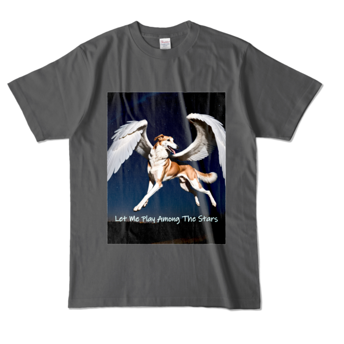 カラーTシャツ - L - チャコール (濃色)