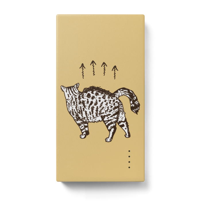 モバイルバッテリー - 123 x 65 (mm)
