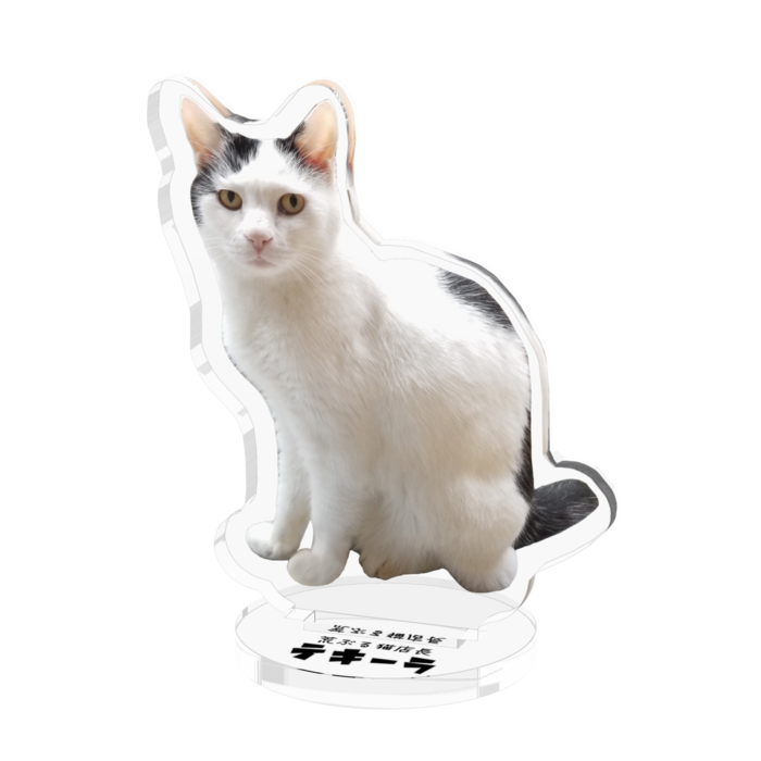 アクリルフィギュア - 50x50mm