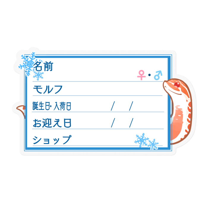 【🐍お名前ステッカー】シシバナ(エクストリームレッドアルビノ) ‐雪
