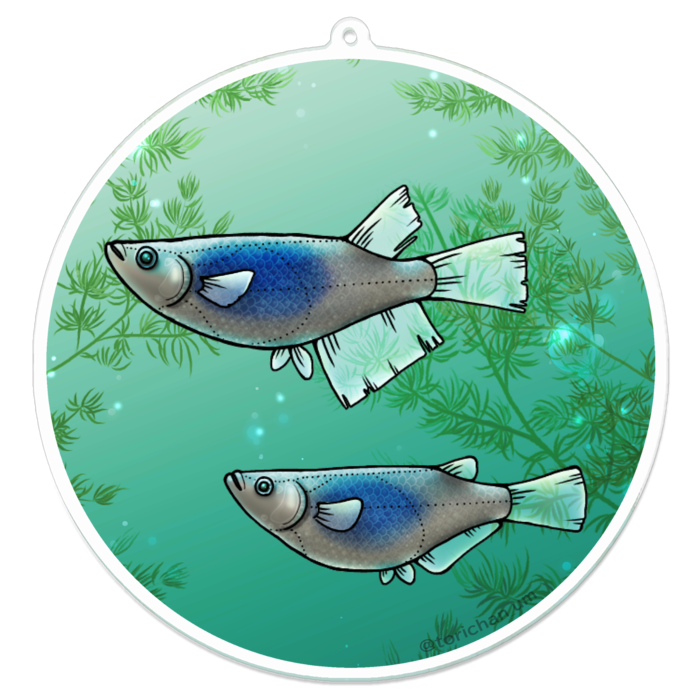 深海　ー　100 x 100㍉／コーティングなし