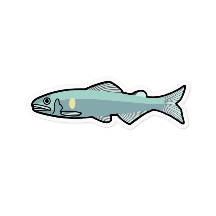 ステッカー - 100 x 100 (mm)