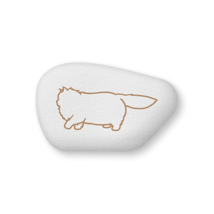 レッド(オレンジ)