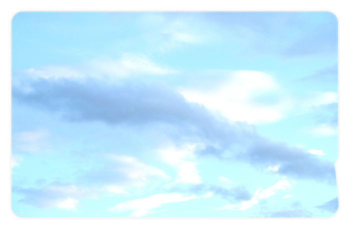 ICカードステッカー - 約85.7x53.9(mm)