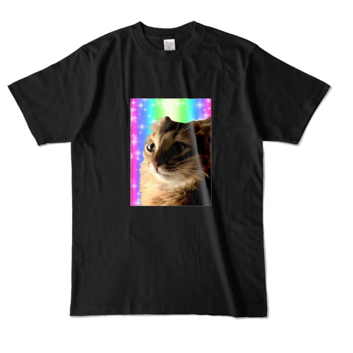 カラーTシャツ - L - ブラック (濃色)