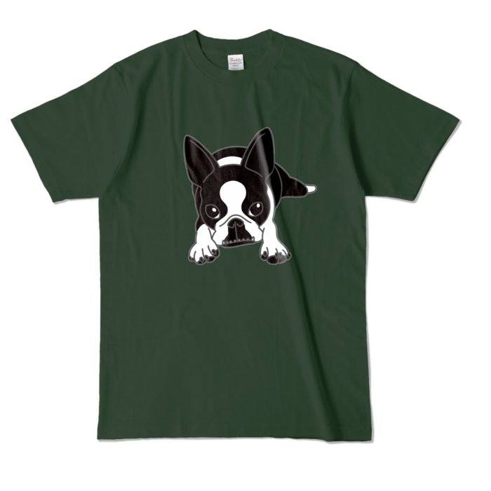 カラーTシャツ - L - フォレスト (濃色)