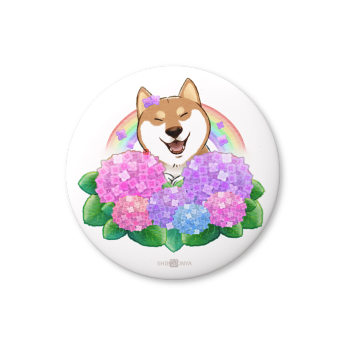 柴犬さんと花便り缶ﾊﾞｯﾁ -紫陽花・水無月(6月)-
