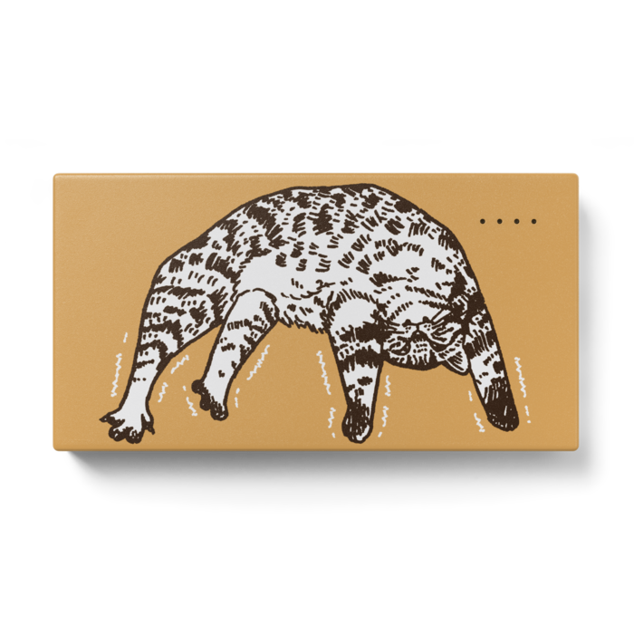 モバイルバッテリー - 123 x 65 (mm)
