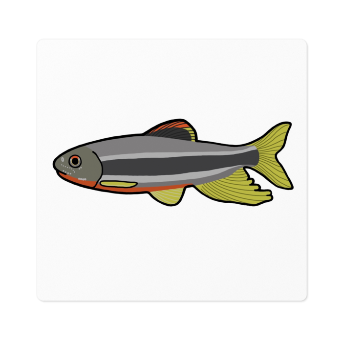 ステッカー - 100 x 100 (mm)(1)