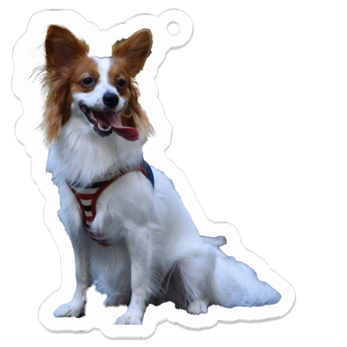 デカピヨンおでかけVer