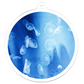 新しいコレクション 海月姫 イラスト 海月姫 クラゲ イラスト