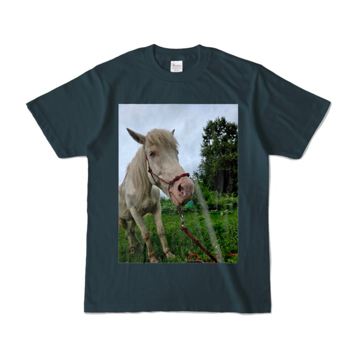 カラーTシャツ - S - デニム (濃色)