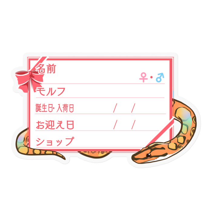 【🐍お名前ステッカー】ブラニジ(ノーマル) ‐リボン／ピンク