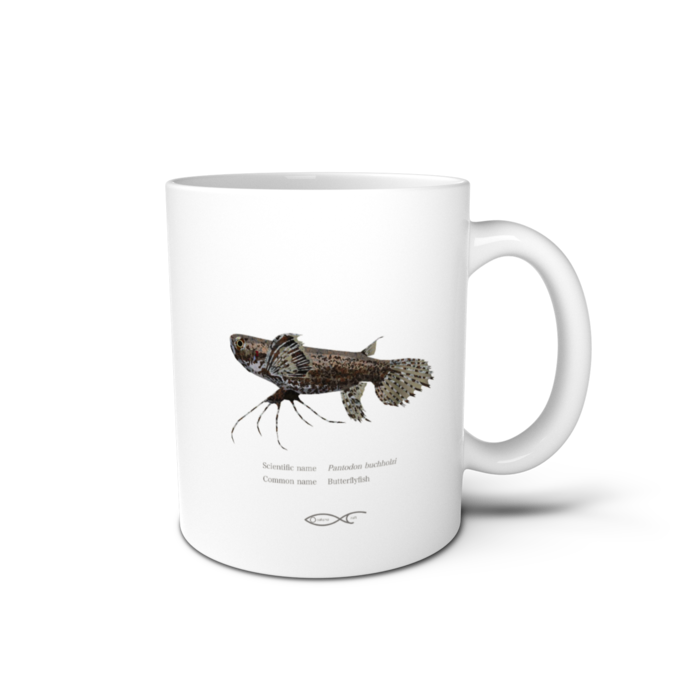 マグカップ - 直径 8 cm / 高さ 9.5 cm