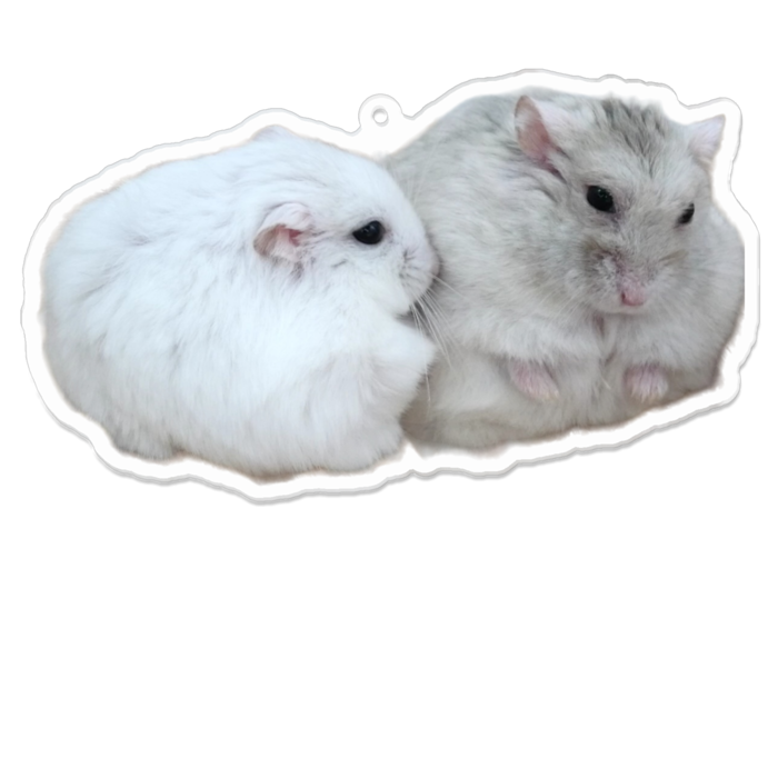 アクリルキーホルダー（コーティング） - 100 x 100 (mm)