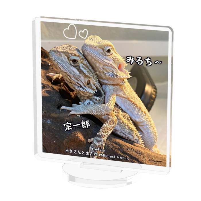 アクリルフィギュア - 50x50mm