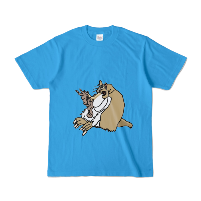カラーTシャツ - S - ターコイズ (濃色)