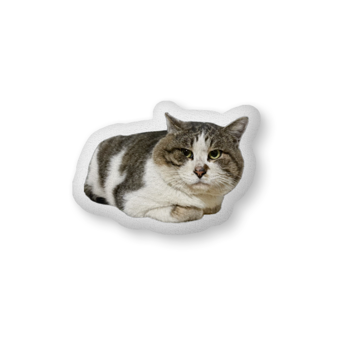 ふかふかクッション - 中（H36×W56cm） - 片面