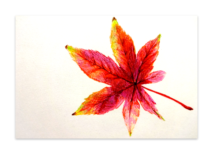 ポストカード(10セット) - 竹はだGA180kg