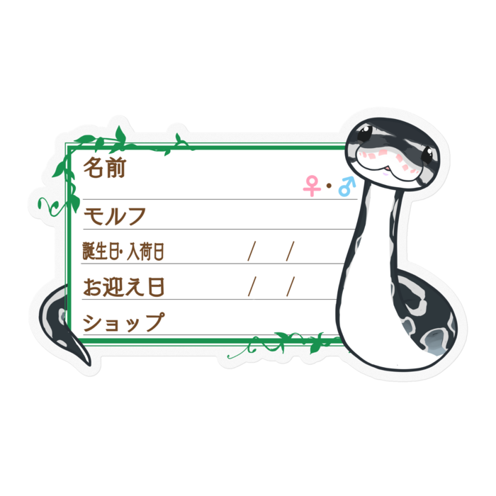 【🐍お名前ステッカー】ボールパイソン(アザン)-蔦