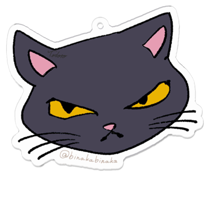 【侵入者のねこ】