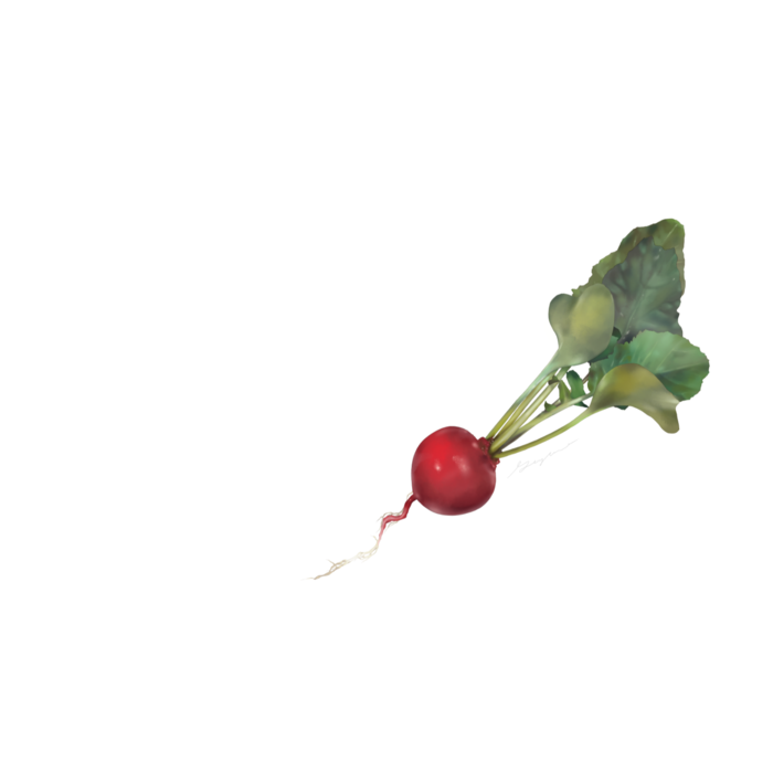 名刺(10セット) - 横91x55mm - 上質180kg