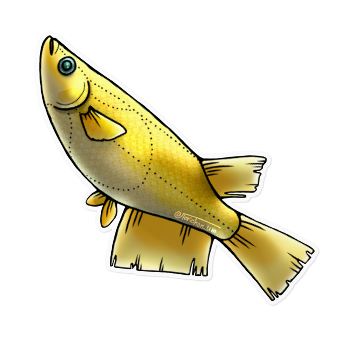 ヒカリ　ー　ホワイト／160 x 160㍉