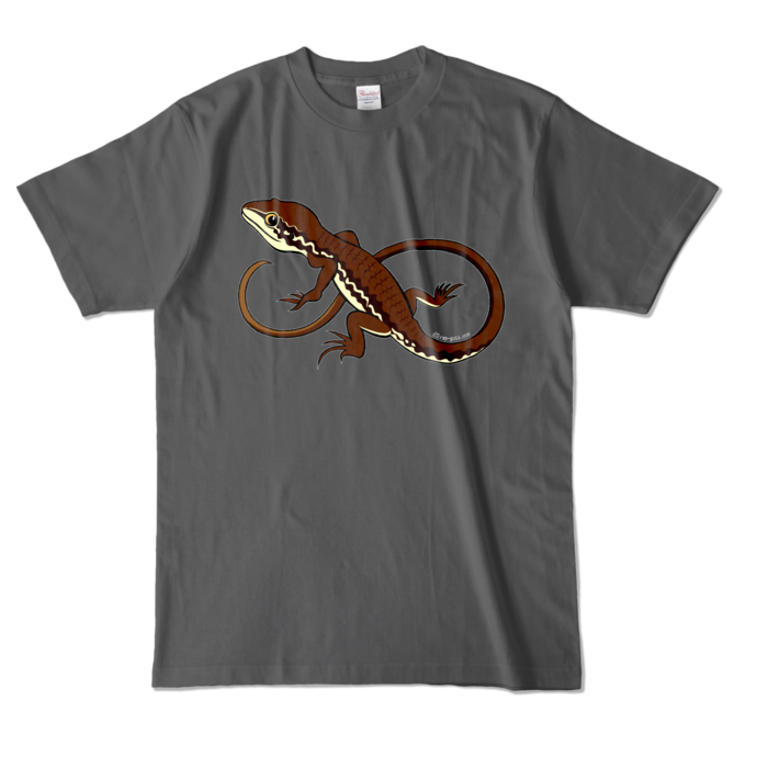 カラーTシャツ - L - チャコール (濃色)(1)