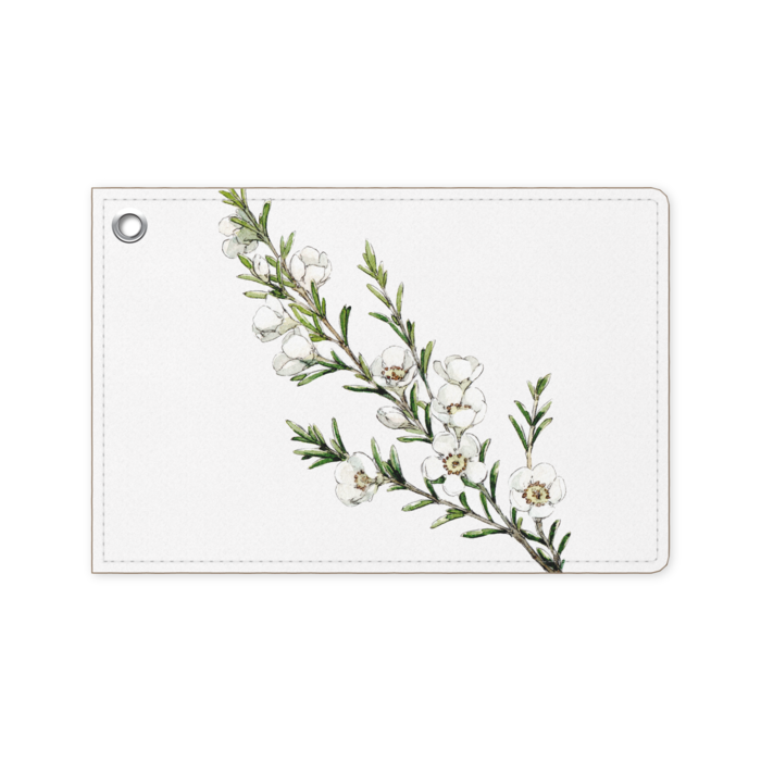 パスケース - 70 x 105 (mm)