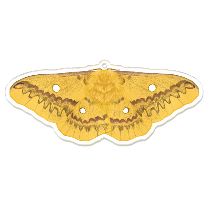 アクリルキーホルダー - 100 x 100 (mm)