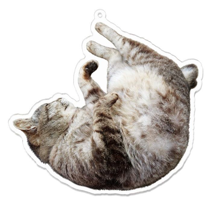 モフモフアクキー ねこまた屋booth Booth