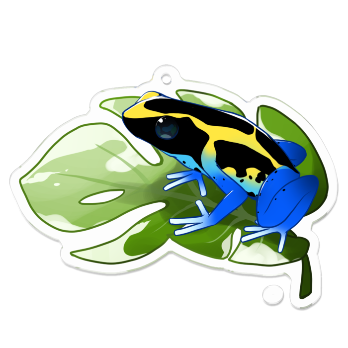 【ヤドクガエル🐸アクキー(Ａ)】(アイゾメ) 7cm