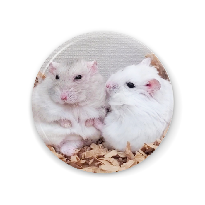 缶ミラー - 56mm