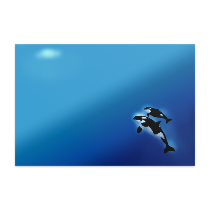 ポストカード(10枚セット) - ヴァンヌーボVGスノーホワイト195kg