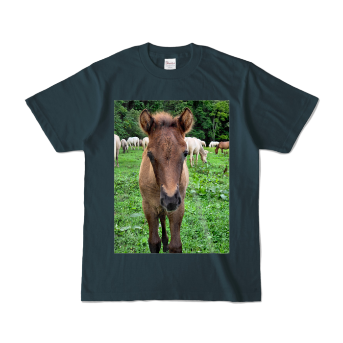 カラーTシャツ - S - デニム (濃色)