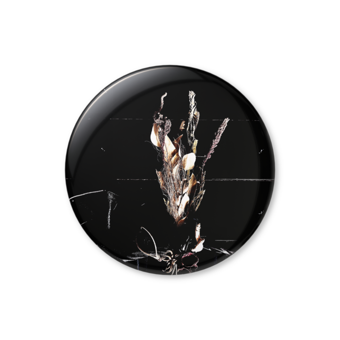 缶バッジ（バリュー） - 56mm