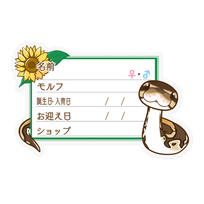 【🐍お名前ステッカー】ボールパイソン(ノーマルミニ) ‐ひまわり