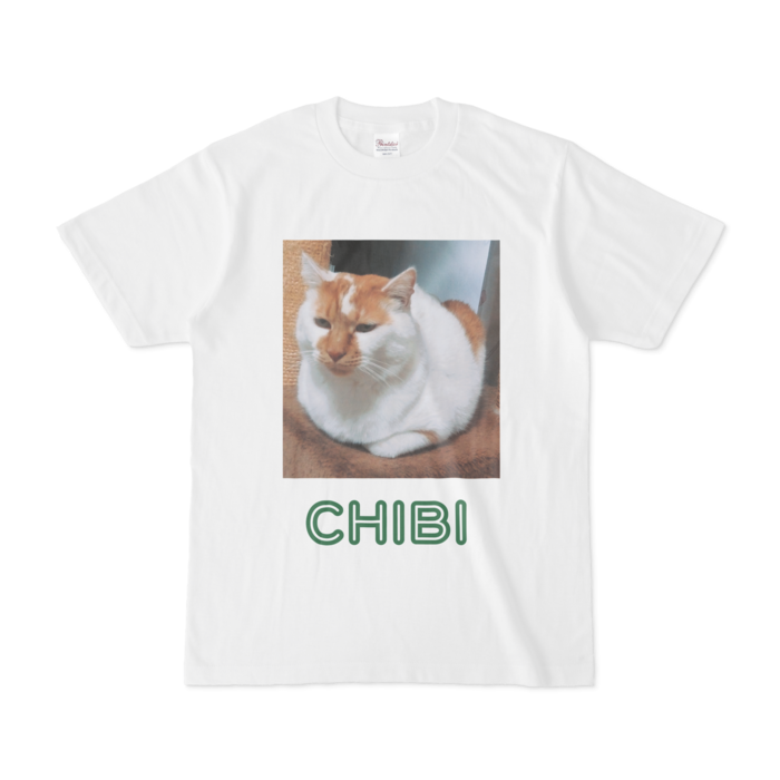 Tシャツ - S - 白