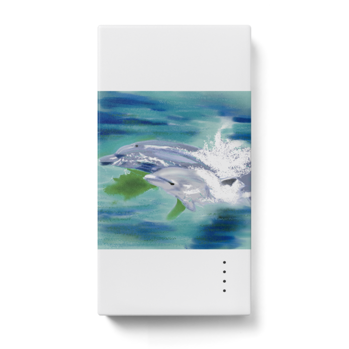 モバイルバッテリー - 123 x 65 (mm)