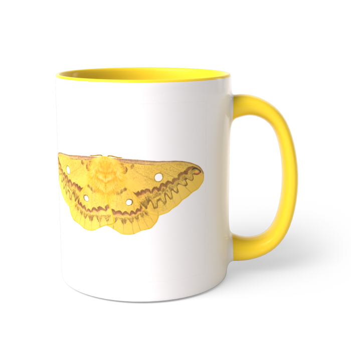 ツートンカラーマグカップ - 直径 8.2cm / 高さ 9.5cm