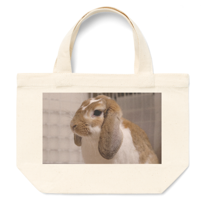 トートバッグ - S - プリント面積小