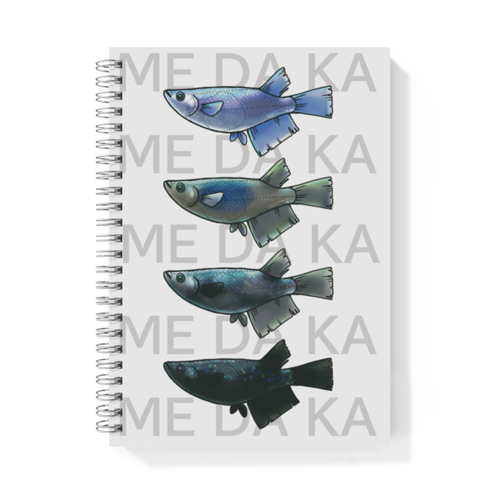 ME DA KA(青)　ー　A5
