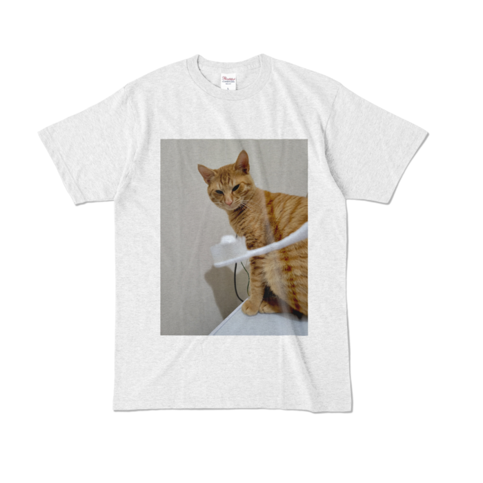 カラーTシャツ - L - アッシュ (淡色)
