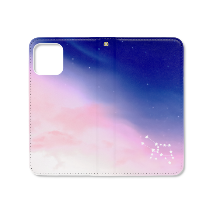 iPhone12 / 12 Pro