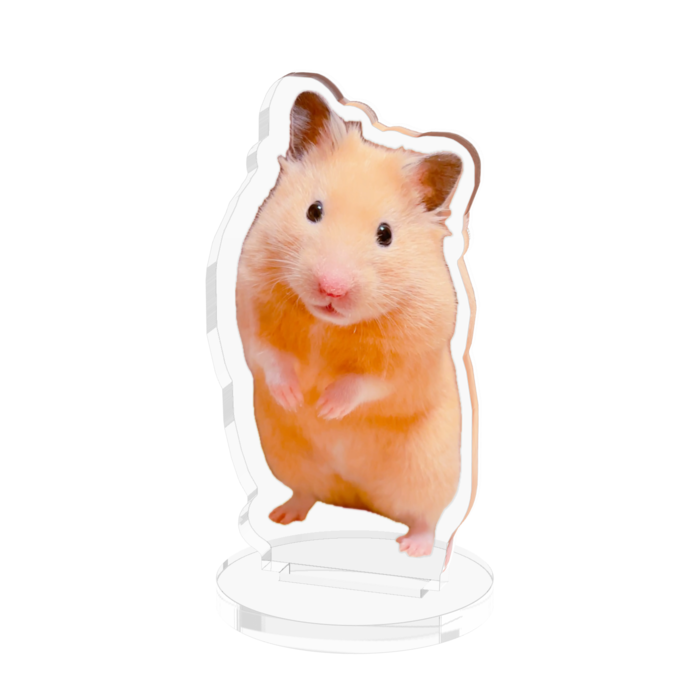 アクリルフィギュア - 50x50mm