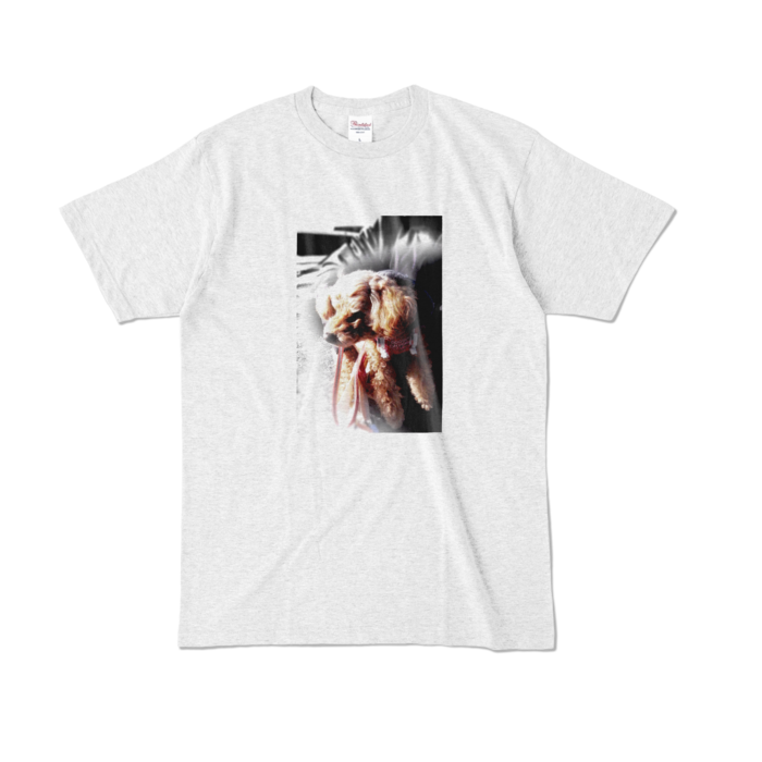 カラーTシャツ - L - アッシュ (淡色)
