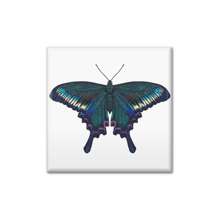 缶バッジ - 四角形40mm