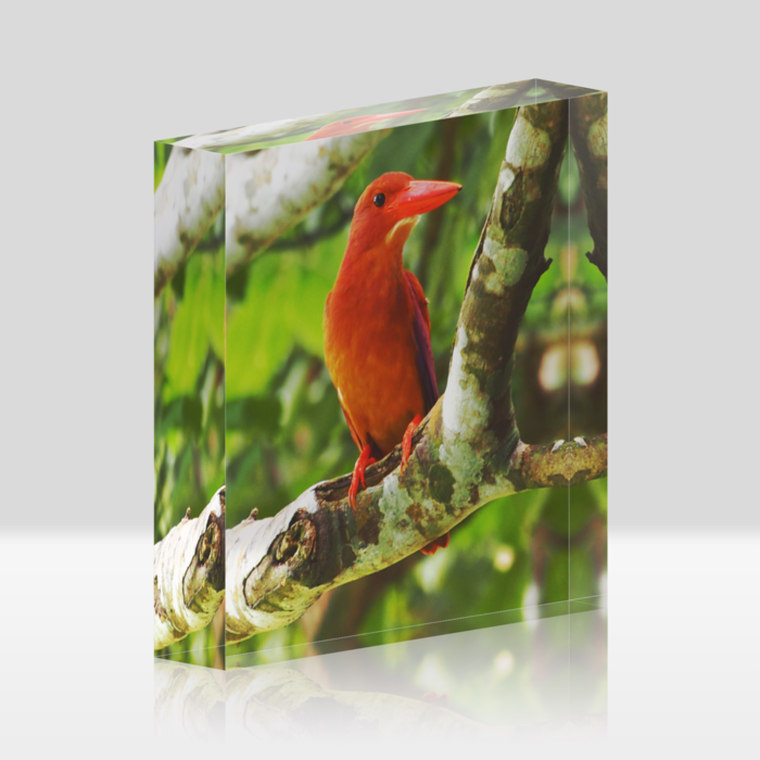 アクリルブロック - 100x100mm