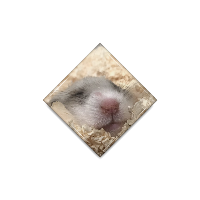 缶バッジ - ひし形40mm